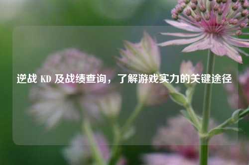 逆战 KD 及战绩查询,了解游戏实力的关键途径