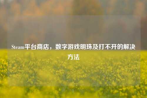 Steam平台商店,数字游戏明珠及打不开的解决方法