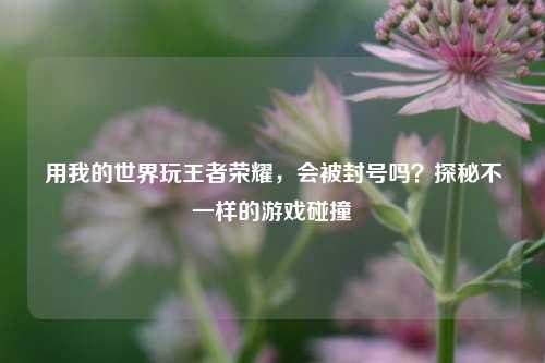 用我的世界玩王者荣耀，会被封号吗？探秘不一样的游戏碰撞