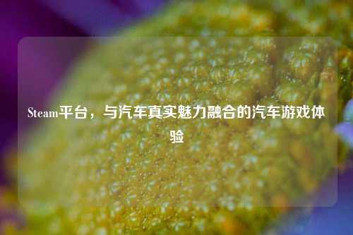 Steam平台,与汽车真实魅力融合的汽车游戏体验