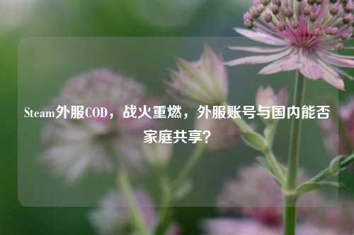 Steam外服COD,战火重燃,外服账号与国内能否家庭共享?