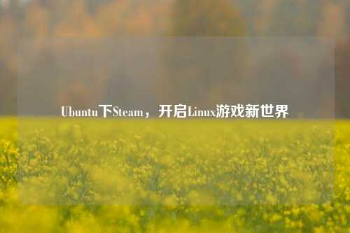 Ubuntu下Steam，开启Linux游戏新世界