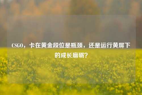 CSGO,卡在黄金段位是瓶颈,还是运行黄屏下的成长磨砺?