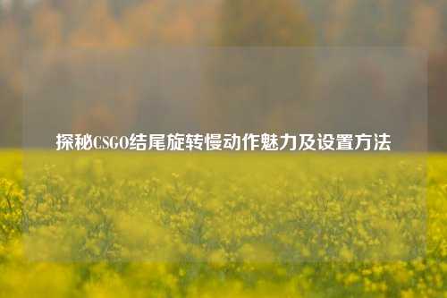 探秘CSGO结尾旋转慢动作魅力及设置方法