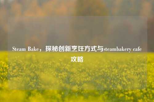 Steam Bake,探秘创新烹饪方式与steambakery cafe攻略