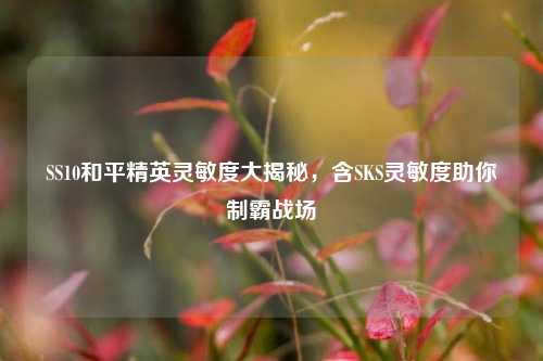 SS10和平精英灵敏度大揭秘,含SKS灵敏度助你制霸战场