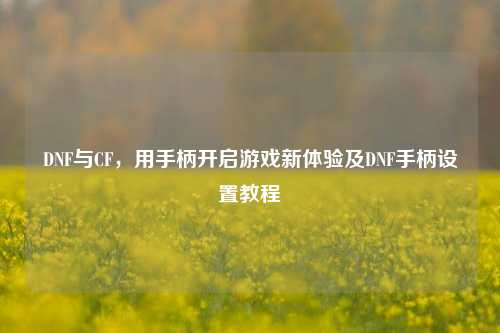 DNF与CF,用手柄开启游戏新体验及DNF手柄设置教程