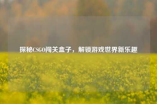 探秘CSGO闯关盒子,解锁游戏世界新乐趣