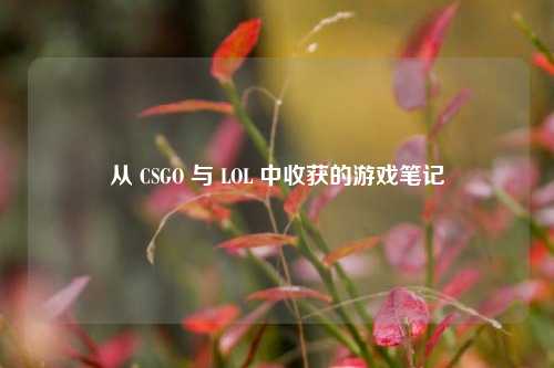 从 CSGO 与 LOL 中收获的游戏笔记