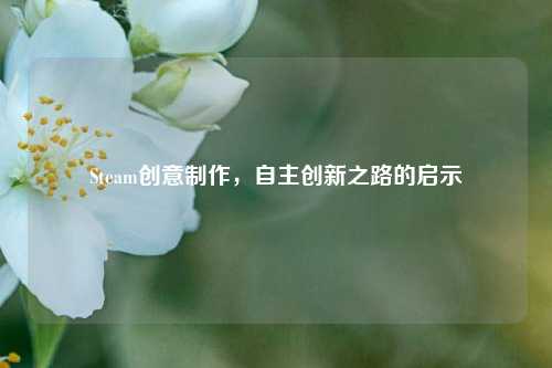 Steam创意制作,自主创新之路的启示
