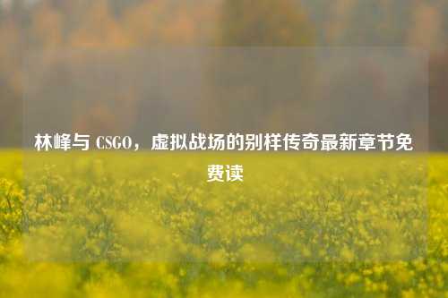 林峰与 CSGO,虚拟战场的别样传奇最新章节免费读
