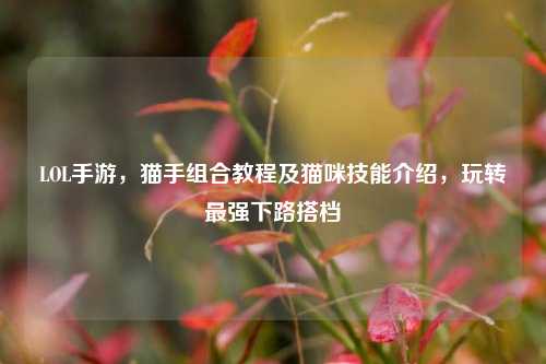 LOL手游,猫手组合教程及猫咪技能介绍,玩转最强下路搭档