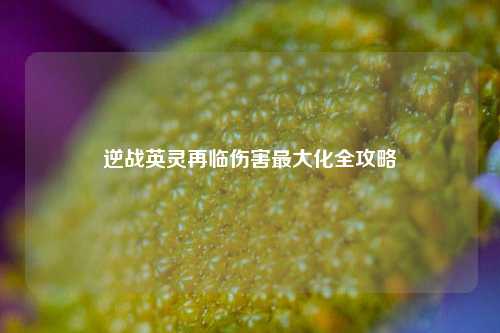 逆战英灵再临伤害最大化全攻略