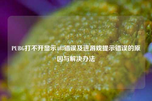 PUBG打不开显示403错误及进游戏提示错误的原因与解决办法