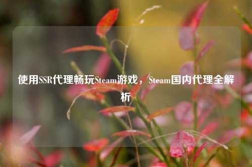 使用SSR代理畅玩Steam游戏,Steam国内代理全解析