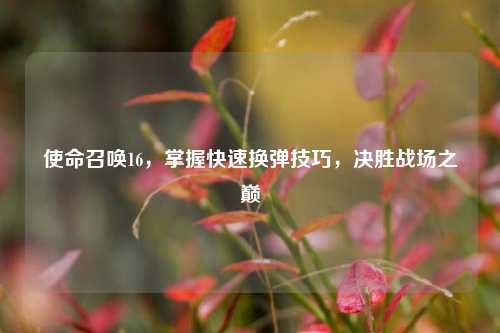 使命召唤16,掌握快速换弹技巧,决胜战场之巅