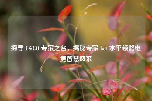 探寻 CS:GO 专家之名,揭秘专家 bot 水平领略电竞智慧风采