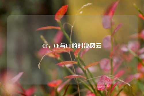 CF,CE与CT的对决风云