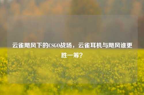 云雀飓风下的CSGO战场,云雀耳机与飓风谁更胜一筹?