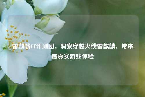 雷麒麟CF评测团,洞察穿越火线雷麒麟,带来最真实游戏体验