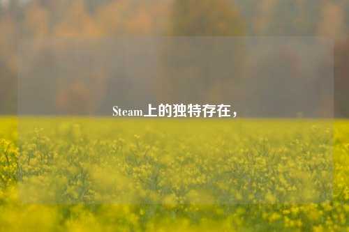 Steam上的独特存在,