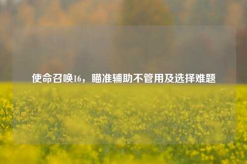 使命召唤16,瞄准辅助不管用及选择难题