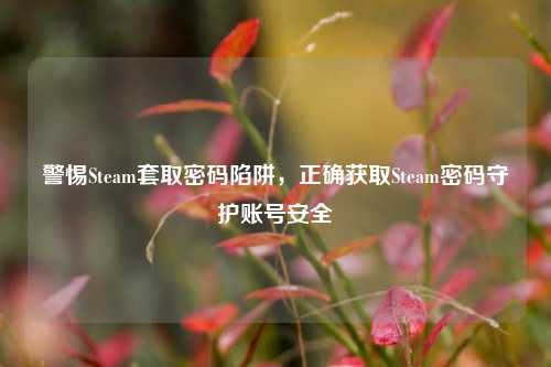 警惕Steam套取密码陷阱,正确获取Steam密码守护账号安全