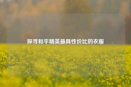 探寻和平精英最具性价比的衣服