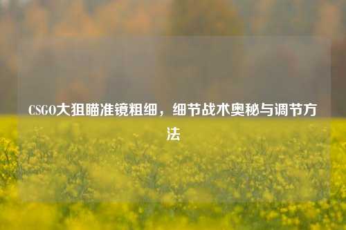 CSGO大狙瞄准镜粗细,细节战术奥秘与调节方法