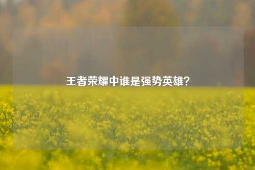 王者荣耀中谁是强势英雄?