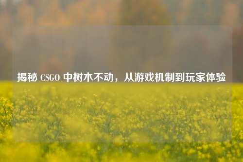 揭秘 CSGO 中树木不动,从游戏机制到玩家体验