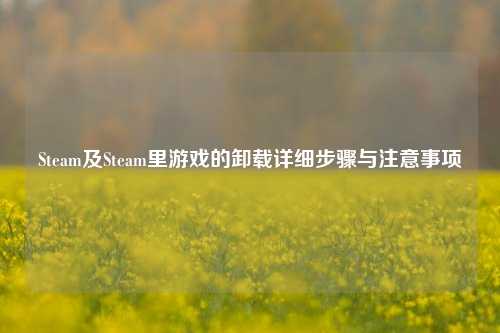 Steam及Steam里游戏的卸载详细步骤与注意事项