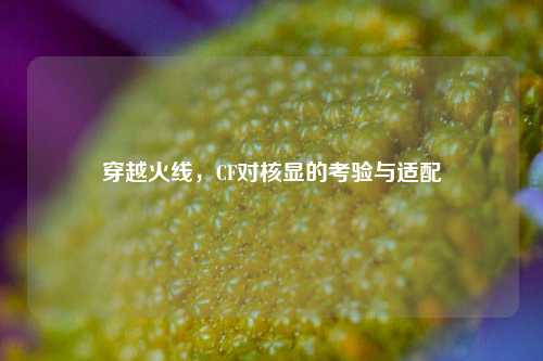 穿越火线，CF对核显的考验与适配