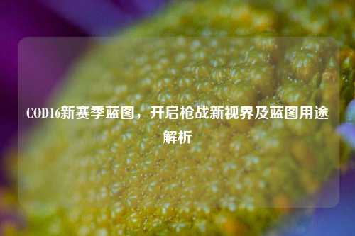 COD16新赛季蓝图,开启枪战新视界及蓝图用途解析