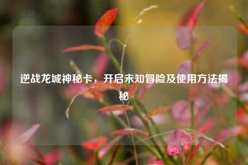 逆战龙城神秘卡,开启未知冒险及使用方法揭秘