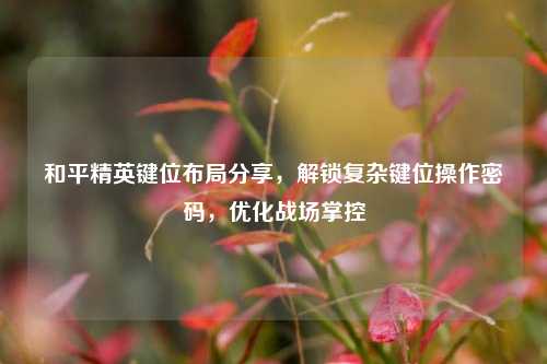 和平精英键位布局分享,解锁复杂键位操作密码,优化战场掌控
