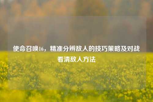 使命召唤16,精准分辨敌人的技巧策略及对战看清敌人方法