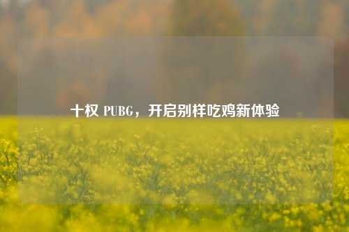 十权 PUBG,开启别样吃鸡新体验