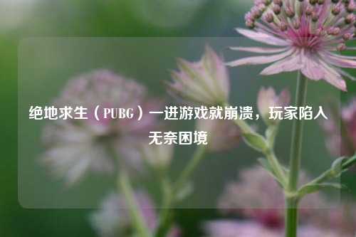 绝地求生(PUBG)一进游戏就崩溃,玩家陷入无奈困境