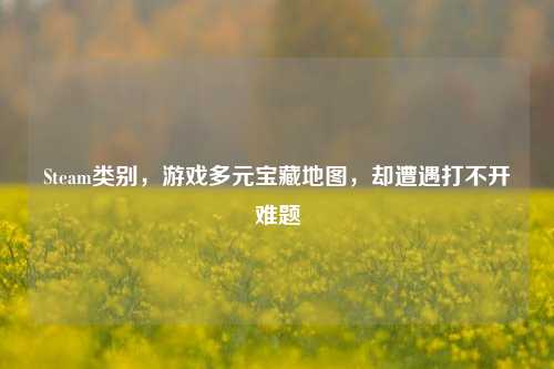 Steam类别,游戏多元宝藏地图,却遭遇打不开难题
