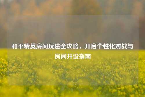 和平精英房间玩法全攻略,开启个性化对战与房间开设指南