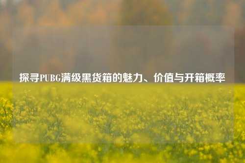 探寻PUBG满级黑货箱的魅力、价值与开箱概率