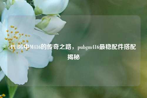 PUBG中M416的传奇之路,pubgm416最稳配件搭配揭秘