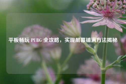 平板畅玩 PUBG 全攻略,实现屏幕铺满方法揭秘