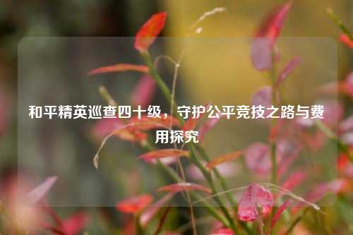 和平精英巡查四十级,守护公平竞技之路与费用探究