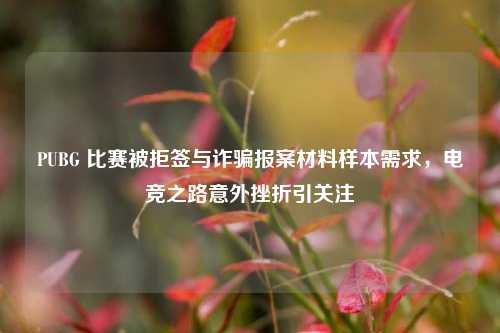 PUBG 比赛被拒签与诈骗报案材料样本需求，电竞之路意外挫折引关注