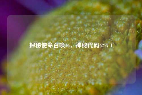 探秘使命召唤16,神秘代码6277 1