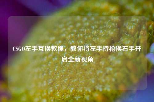 CSGO左手互换教程,教你将左手持枪换右手开启全新视角
