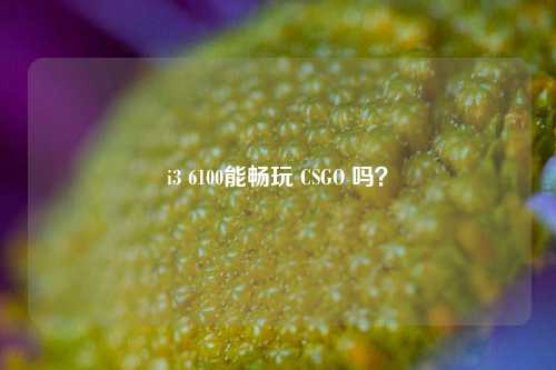 i3 6100能畅玩 CSGO 吗？