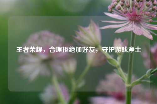 王者荣耀,合理拒绝加好友,守护游戏净土
